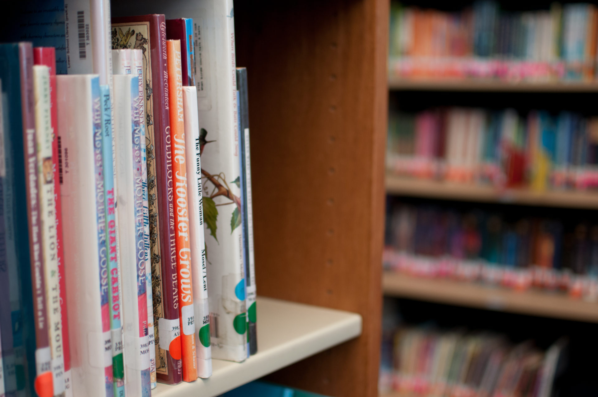 5 Ways to Encourage Students to Read - Teach, Learn & Wonder